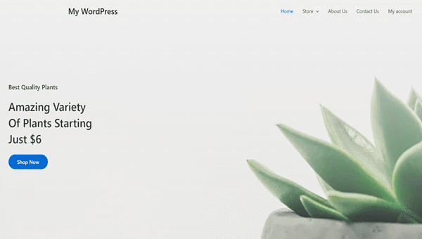 plantstore1_image